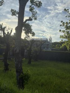 首里城と円覚寺